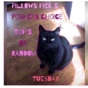 Pillows pick 5